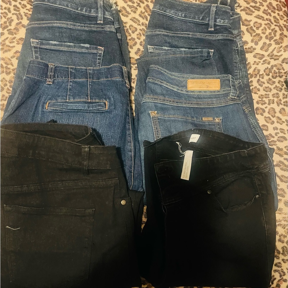 Layne Bryant Jeans and Seven Jeans